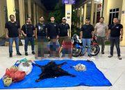 Satwa Dilindungi Bukan untuk Dikuliti, IPDA Gagas Pimpin Pengungkapan Perdagangan Satwa Dilindungi di Simalungun: Jiwa Reserse Membara