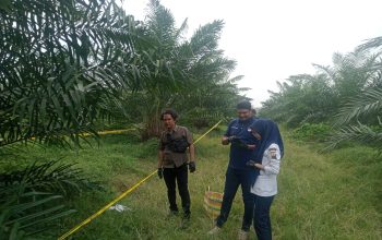 Sesuai laporan masyarakat Polsek Gunung Malela dan Tim Inafis ,tangani Temuan Wanita Meninggal, di Perkebunan PTPN IV,