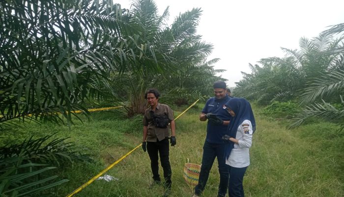 Sesuai laporan masyarakat Polsek Gunung Malela dan Tim Inafis ,tangani Temuan Wanita Meninggal, di Perkebunan PTPN IV,